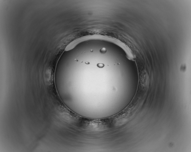 X0000100350420200806130956