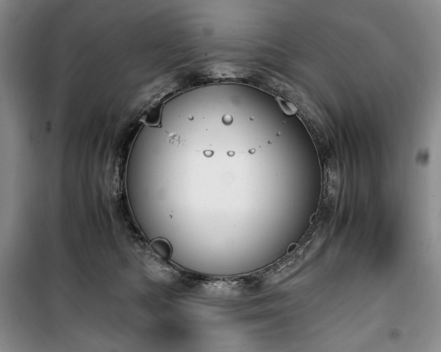 X0000100350422200806130956