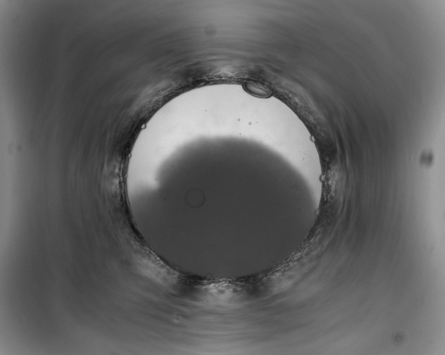 X0000100350423200806130956