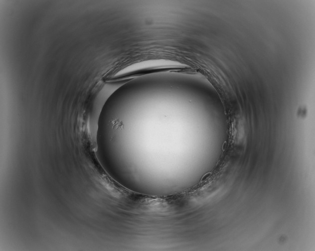 X0000100350424200806130956