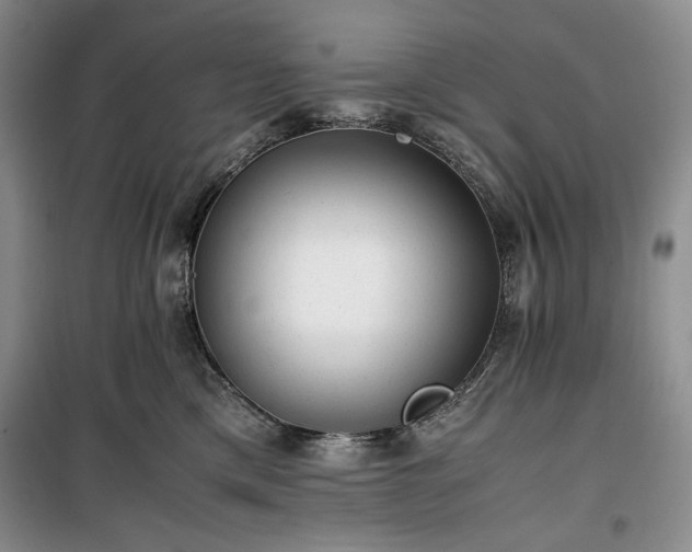 X0000100350425200806130956