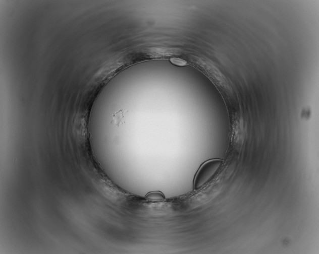 X0000100350426200806130956