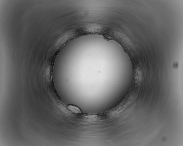 X0000100350428200806130956