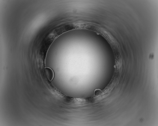 X0000100350429200806130956