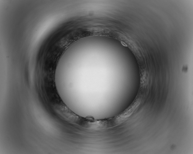 X0000100350430200806130956
