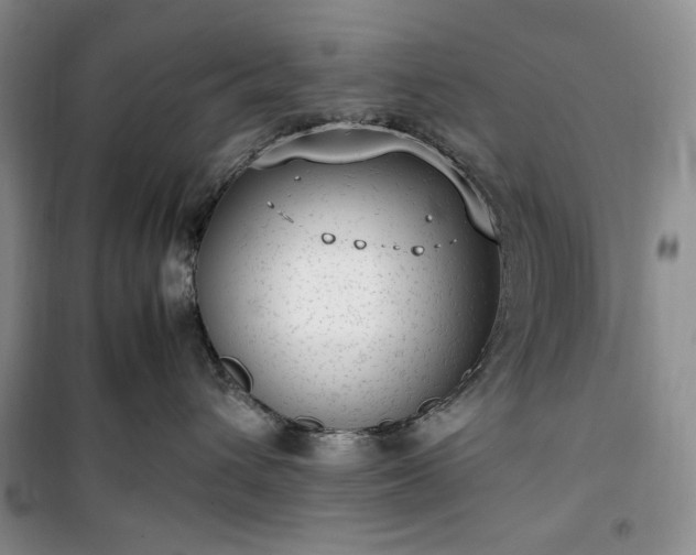 X0000100350432200806130956