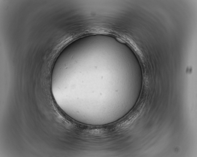 X0000100350433200806130956