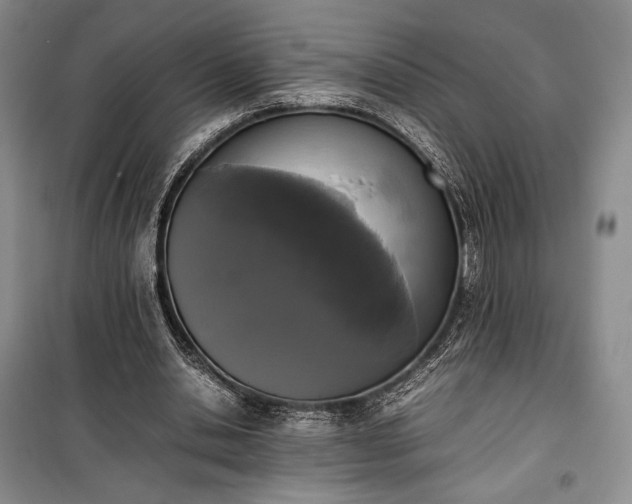 X0000100350438200806130956