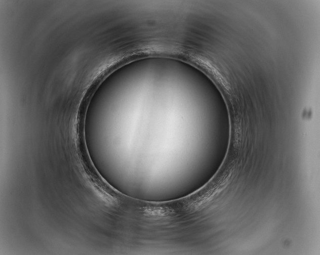 X0000100350439200806130956