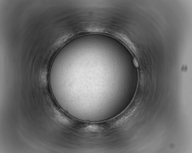 X0000100350441200806130956