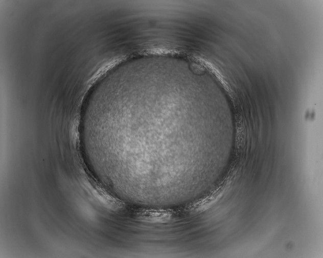 X0000100350443200806130956