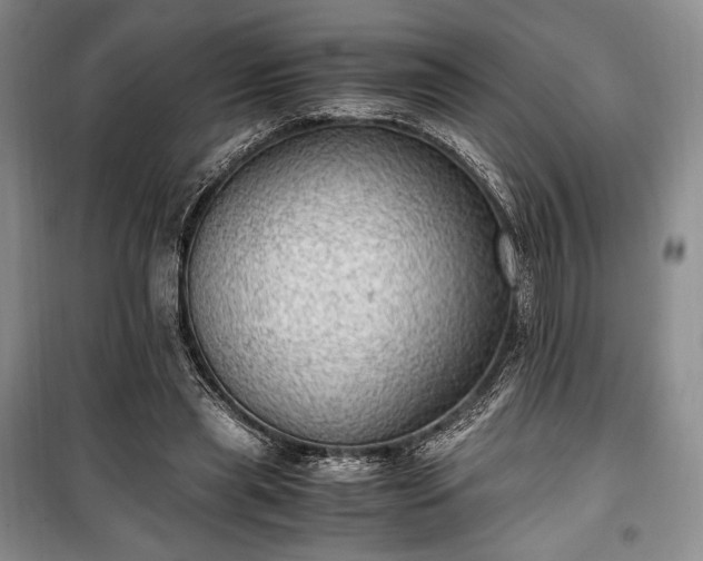 X0000100350445200806130956