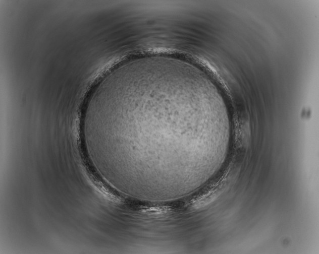 X0000100350447200806130956
