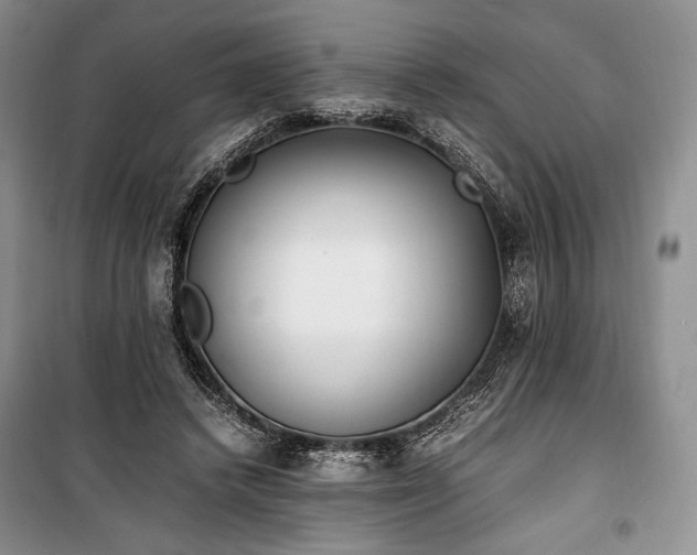 X0000100350448200806130956