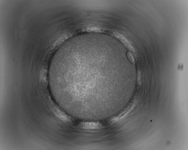 X0000100350449200806130956