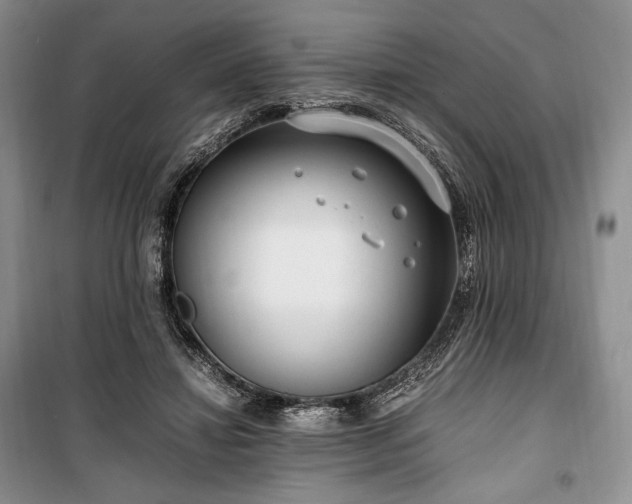 X0000100350452200806130956