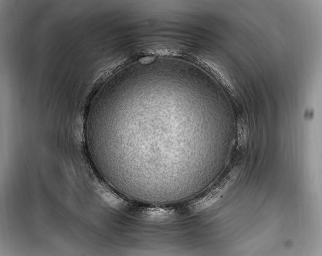 X0000100350453200806130956