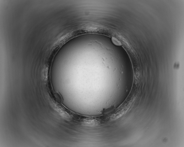 X0000100350454200806130956