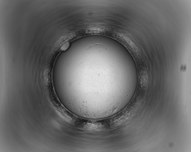 X0000100350455200806130956