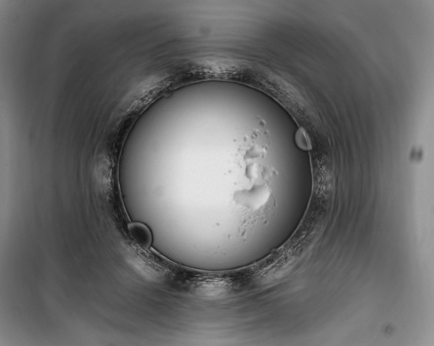 X0000100350456200806130956