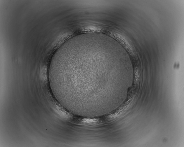 X0000100350457200806130956