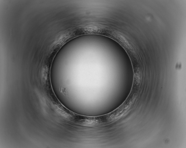 X0000100350458200806130956