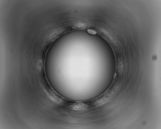 X0000100350459200806130956