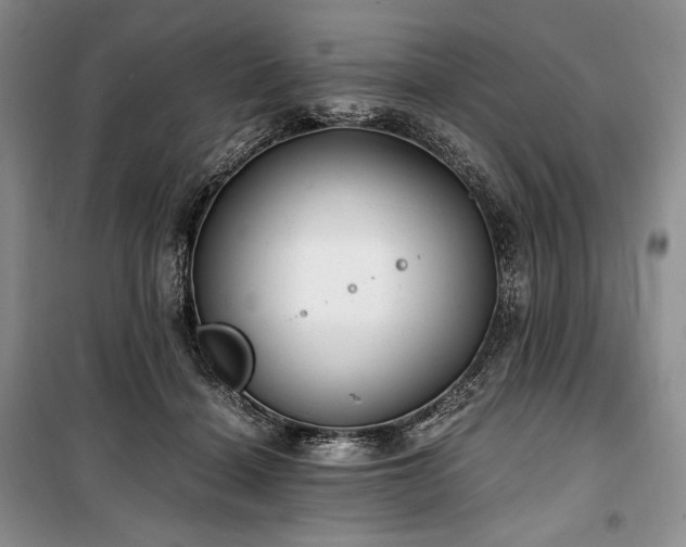 X0000100350460200806130956