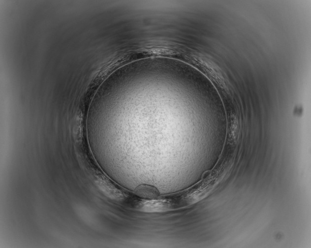 X0000100350461200806130956