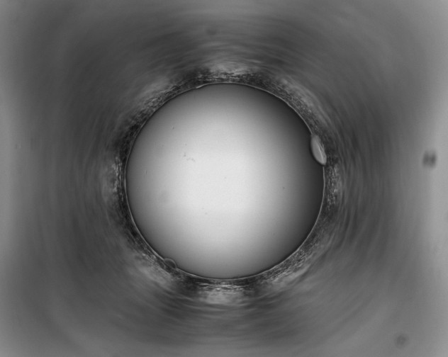 X0000100350463200806130956