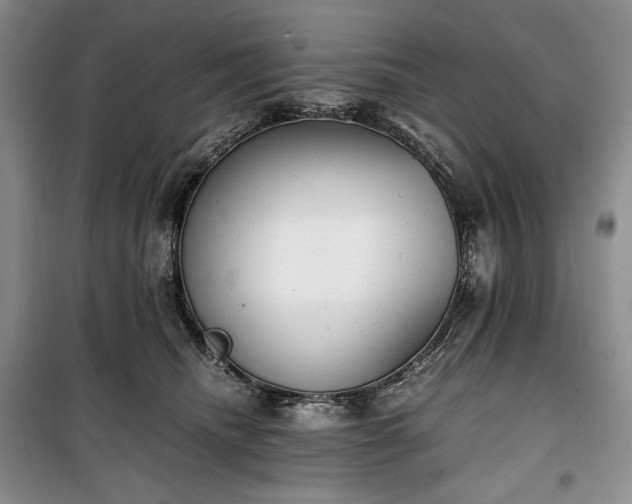 X0000100350468200806130956