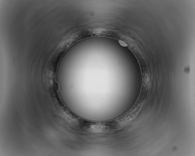 X0000100350470200806130956