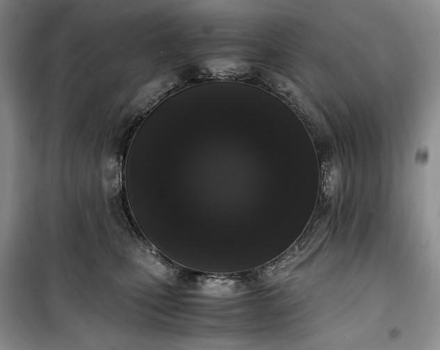 X0000100350471200806130956