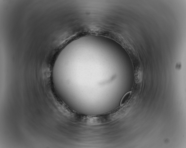 X0000100350472200806130956