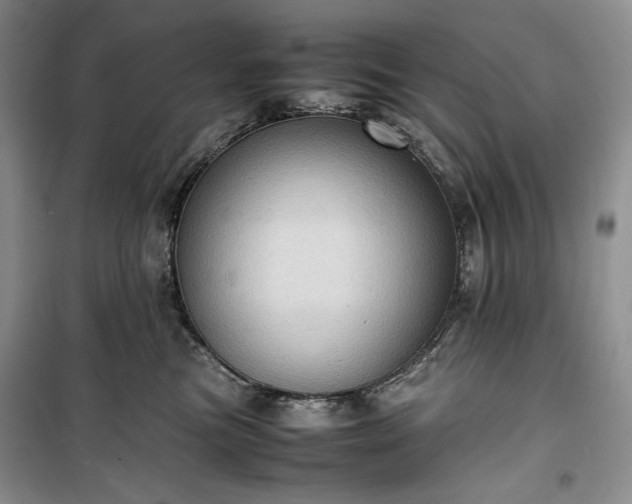 X0000100350473200806130956