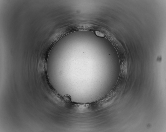 X0000100350474200806130956