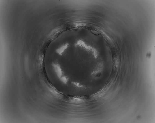 X0000100350475200806130956