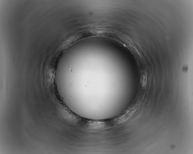 X0000100350476200806130956