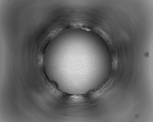 X0000100350477200806130956