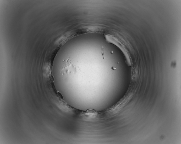 X0000100350478200806130956