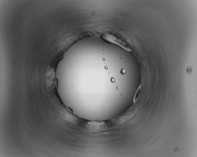 X0000100350480200806130956