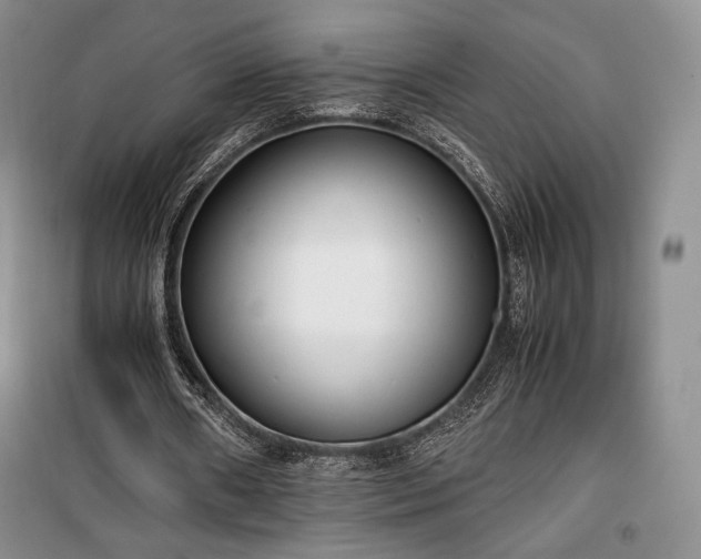 X0000100350482200806130956