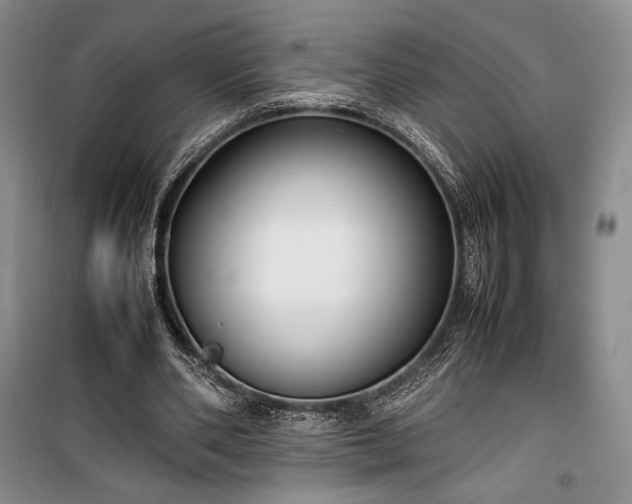 X0000100350486200806130955