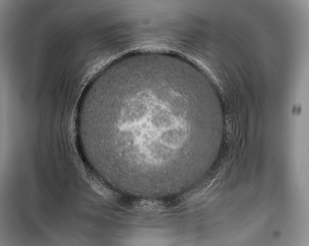 X0000100350487200806130955