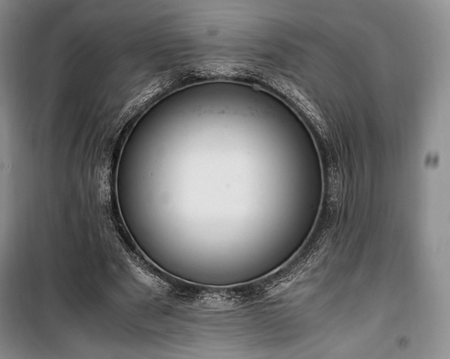 X0000100350489200806130955