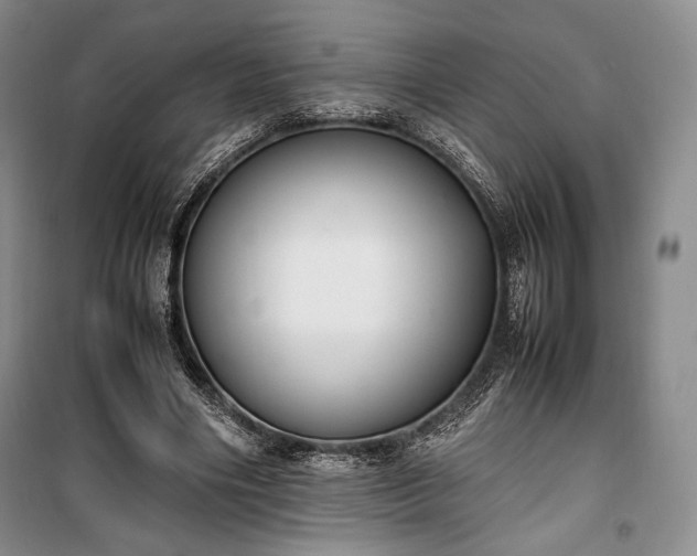 X0000100350490200806130955