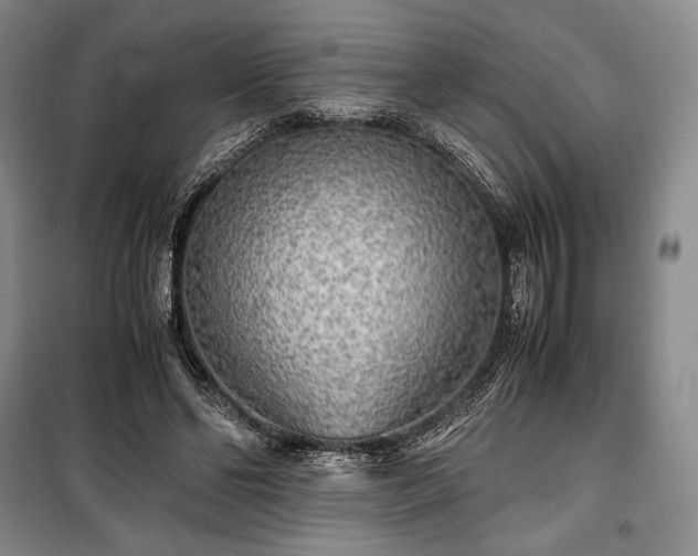 X0000100350494200806130955