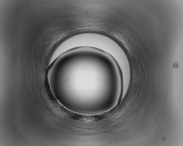 X0000100350495200806130955