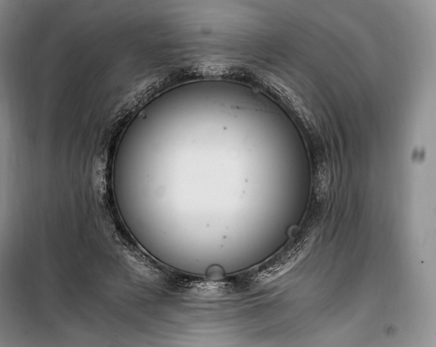 X0000100350497200806130955