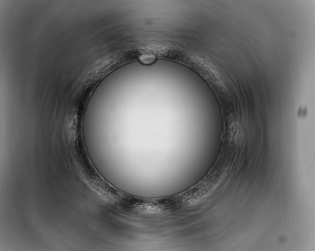 X0000100350498200806130955
